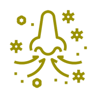 causes-of-allergies-min